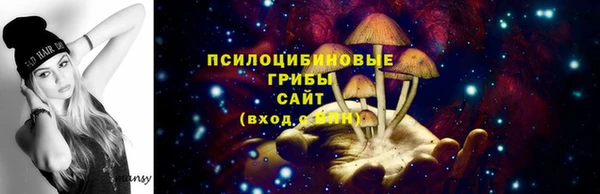 a pvp Горнозаводск
