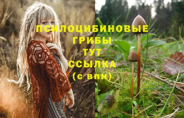 a pvp Горнозаводск