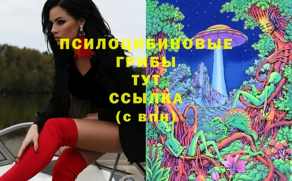 скорость Горно-Алтайск