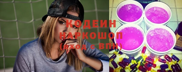 молекула духа Кулебаки