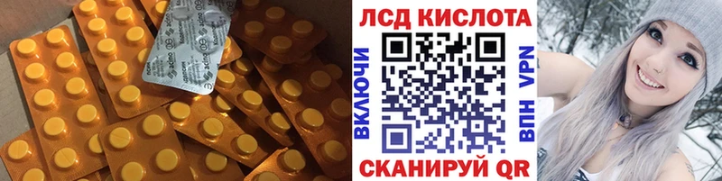 где можно купить наркотик  Заречный  Лсд 25 экстази ecstasy 