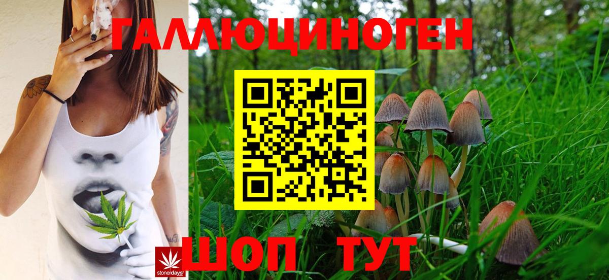Заречный  Псилоцибиновые грибы мицелий  Вход с VPN 